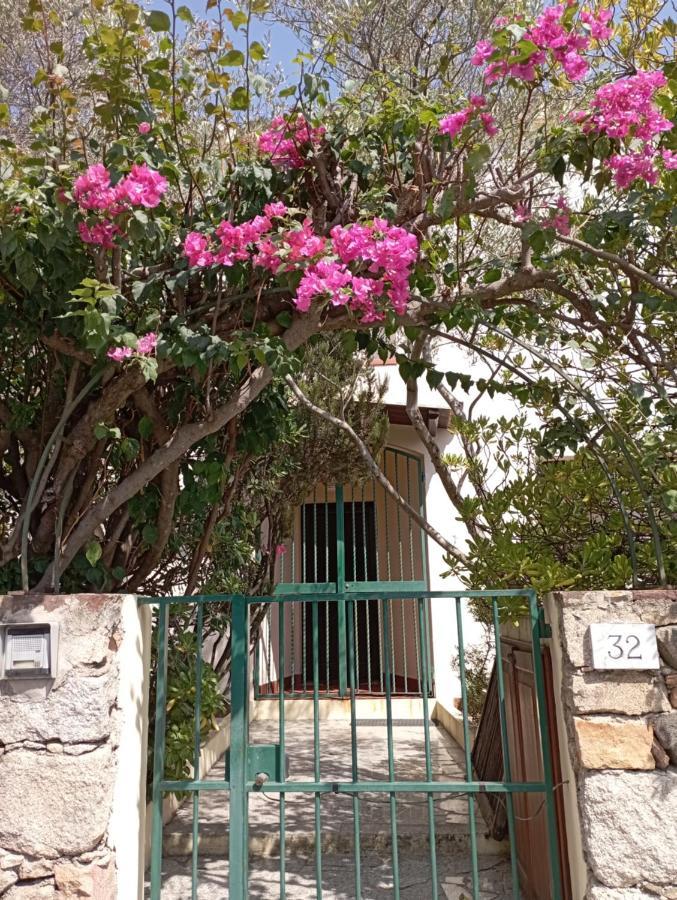 Domus Garden Bed and Breakfast Όλμπια Εξωτερικό φωτογραφία
